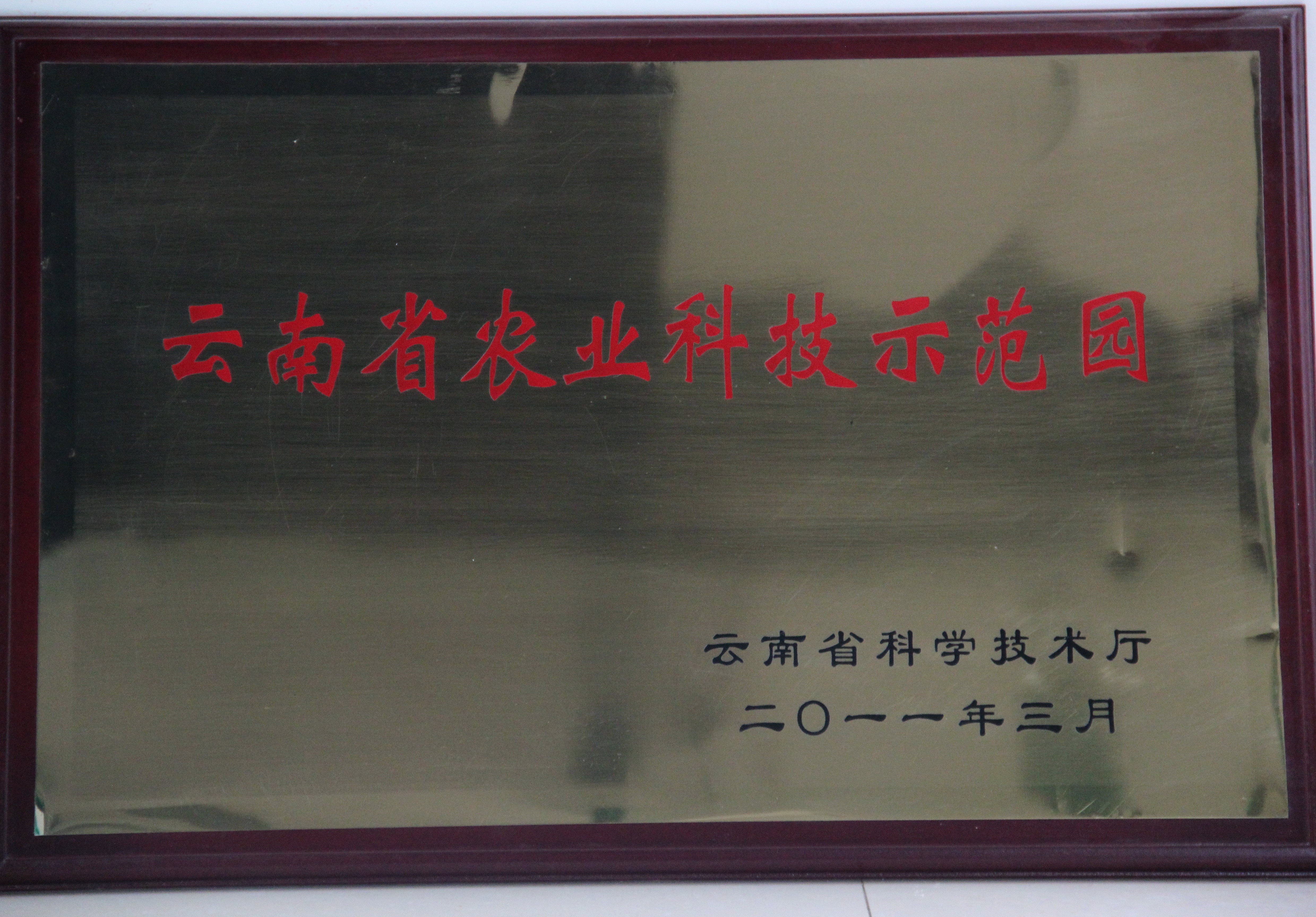 2011年苗鄉(xiāng)三七科技示范園被認定為首批云南省農(nóng)業(yè)科技示范園