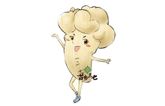 吃三七的五大禁忌，你知道嗎？