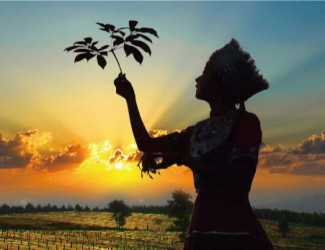 吃三七要在什么年齡，又有什么好處？?