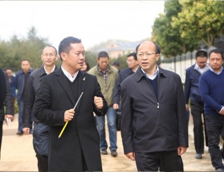 云南省委常委、副書(shū)記李秀領(lǐng)一行到苗鄉(xiāng)三七科技示范園考察調(diào)研