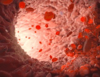 為什么三七被稱為“血管清道夫”？