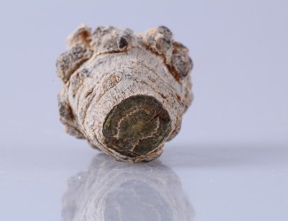 三七粉吃多長時間有效？ 三七品質(zhì)最關(guān)鍵