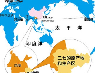 三七產(chǎn)地哪里的最好，廣西田七與云南三七有何區(qū)別