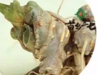 買(mǎi)三七注意事項(xiàng)，帶剪口和不帶剪口的巨大區(qū)別