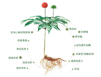 三七救人無(wú)國(guó)界，美軍飛行員曾受益