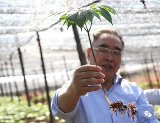 張伯禮院士這樣說三七！