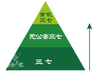 三七有幾個等級？分級依據(jù)是什么？