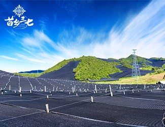 慢性咽炎怎么辦，秋季養(yǎng)生有妙招