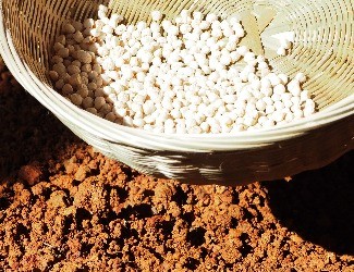 三七的一生——建棚、播種（二）