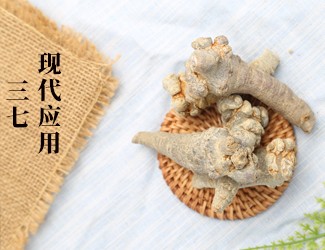 三七的功效作用在現代臨床中的應用，揭秘醫(yī)生如何用三七治病