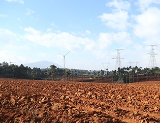 三七土壤危機(jī)何解？官會(huì)林教授開(kāi)出“生態(tài)藥方”