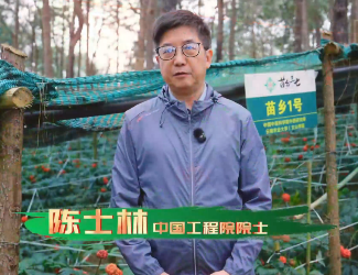 陳士林院士談三七品種選育及苗鄉(xiāng)三七開(kāi)展品種保育的意義